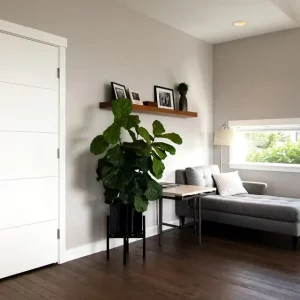 white door in living room