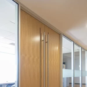 Commercial Office doors